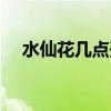 水仙花几点开花开放（水仙花几点开花）