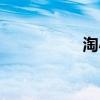 淘小众官网（淘小众）