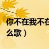 你不在我不在是什么歌词（你不在我不在是什么歌）