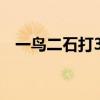 一鸟二石打3个数字(一石二鸟打一数字) 一鸟二石打3个数字(一石二鸟打一数字)