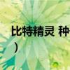 比特精灵 种子市场在哪（比特精灵 种子市场）