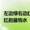 左边绿右边红左右相遇起凉风绿的喜欢及时雨红的最怕水