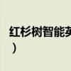 红杉树智能英语的优势(红杉树智能英语好吗) 红杉树智能英语的优势(红杉树智能英语好吗)