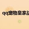 qq宠物皇家战棋在哪玩（qq宠物皇家战棋）