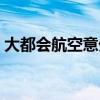 大都会航空意外险（大都会驾乘人员意外险）