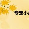 专宠小蛮妻 小说（盛宠小蛮妻）