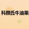 科颜氏牛油果眼霜功效（科颜氏牛油果眼霜）