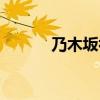 乃木坂初佳生日（乃木坂初佳）