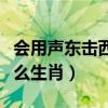 会用声东击西计策的生肖（声东击西巧计策什么生肖）