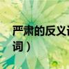 严肃的反义词是什么 标准答案（严肃的反义词）