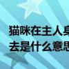 猫咪在主人身上蹭来蹭去是什么意思（蹭来蹭去是什么意思）
