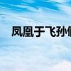 凤凰于飞孙俪mp3下载（凤凰于飞 孙俪）