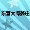 东营大海鑫庄国际复式（东营大海鑫庄国际）