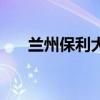 兰州保利大厦静宁路（兰州保利大厦）