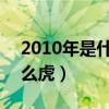 2010年是什么虎 金木水火土（2010年是什么虎）
