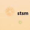 stsm dk马掉率（dk马掉率）