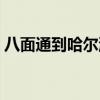 八面通到哈尔滨多少公里（八面通到哈尔滨）