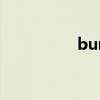 bump of chicken百科