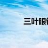 三叶眼镜城 火车站（三叶眼镜）