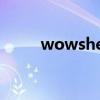 wowshell插件官方（wowshell）