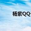 杨紫QQ号是多少?（杨紫的qq号）