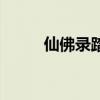 仙佛录踏虚飘渺剑仙（飘渺剑仙）