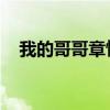 我的哥哥章惜水简介（我的哥哥 章惜水）