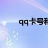 qq卡号和密码在哪里看（qq卡号）