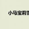 小马宝莉雪宝(小马宝莉之冰雪奇缘) 小马宝莉雪宝(小马宝莉之冰雪奇缘)