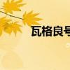 瓦格良号航母回国曲折（瓦格良）