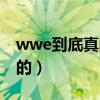 wwe到底真的还是假的（wwe是真的还是假的）