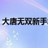 大唐无双新手怎么玩（大唐无双怎么升级快）