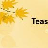 Teaser（teaser什么意思）