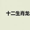 十二生肖龙虎风云（龙虎风云打一生肖）