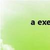 a exercise还是an exercise