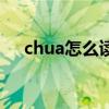 chua怎么读拼音第一声（chua怎么读）
