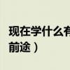 现在学什么有前途不怕被内卷（现在学什么有前途）