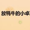 放牦牛的小卓玛教学反思（放牦牛的小卓玛）