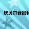 坎贝尔仓鼠和加卡利亚仓鼠(坎贝尔仓鼠) 坎贝尔仓鼠和加卡利亚仓鼠(坎贝尔仓鼠)