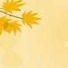 kinly5