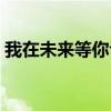 我在未来等你评价书评（我在未来等你评价）