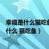 幸福是什么猫吃鱼狗吃肉奥特曼打小怪兽什么意思（幸福是什么 猫吃鱼）