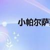 小帕尔萨斯怎么进化(小帕尔萨斯) 小帕尔萨斯怎么进化(小帕尔萨斯)