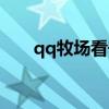 qq牧场看守员小丑（qq牧场看守员）