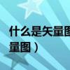 什么是矢量图形?什么是栅格图形?（什么是矢量图）