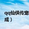 qq仙侠传宠物合成仙在哪（qq仙侠传宠物合成）