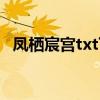凤栖宸宫txt下载百度网盘（凤栖宸宫txt）