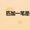 匹加一笔是什么字（夫加一笔是什么字）