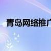 青岛网络推广建站（青岛网站建设哪家好）