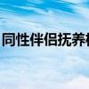 同性伴侣抚养权 争夺（同性伴侣争抚养权案）
